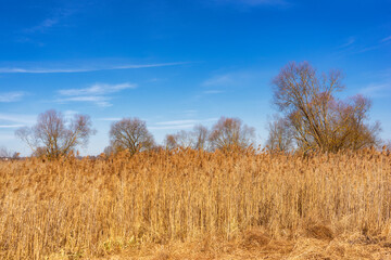 Podlaskie Safari - Naewiański Park Narodowy, Polska © podlaski49