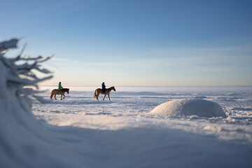 People enjoying daily walk on horses, couple riding by frozen snowy lake shore on freezing sunny winter day, weekend leisure time outdoors and touristic landmark, exploring nature winter wonderland.