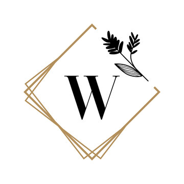 vector illustration of an W alphabe
