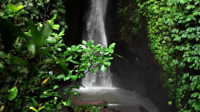 Leke Leke Waterfall Hidden in Bali Jungle Canyon