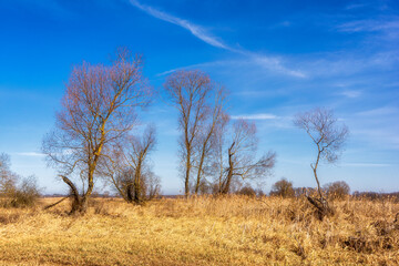Podlaskie Safari - Naewiański Park Narodowy, Polska © podlaski49