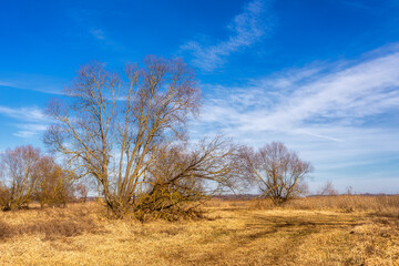 Podlaskie Safari - Naewiański Park Narodowy, Polska © podlaski49
