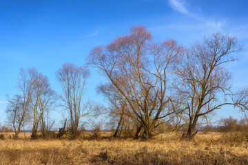 Podlaskie Safari - Naewiański Park Narodowy, Polska © podlaski49