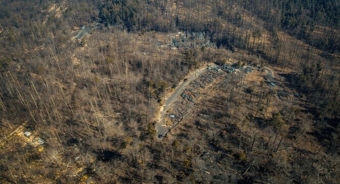 Aerial photograph revealing the extent of wildfire damage to trees