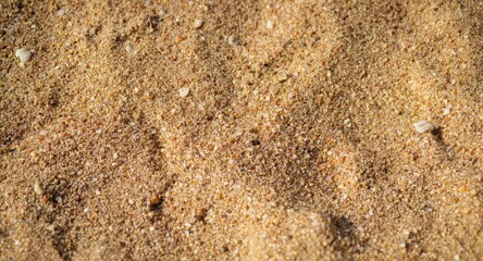Detailed sandy beach surface illuminated by natural summer light with copy space