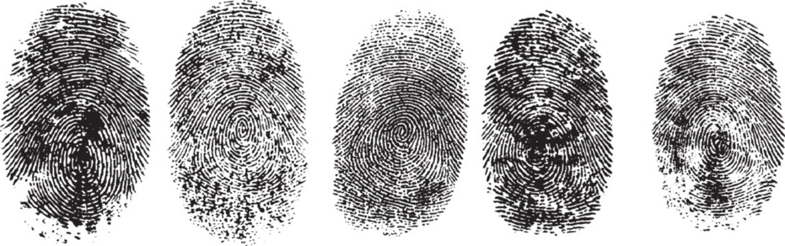 Fingerprint thumbprint set isolated. Set fingerprint scanning icon sign Fingerprint Scanning Icon Set: Vector Biometric Signature Symbols for Password Encryption and Digital Security 