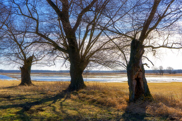 Podlaskie Safari - Naewiański Park Narodowy, Polska © podlaski49