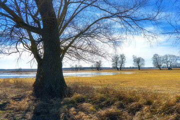 Podlaskie Safari - Naewiański Park Narodowy, Polska © podlaski49