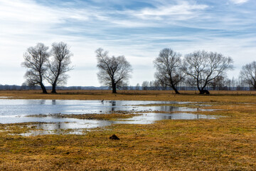 Podlaskie Safari - Naewiański Park Narodowy, Polska © podlaski49