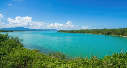 Fototapeta premium High viewpoint summer photo of a turquoise lake with vibrant green shore plants