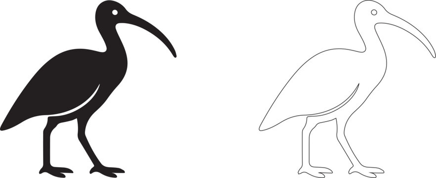 Silhouette of ibis bird in black and white standing profile
