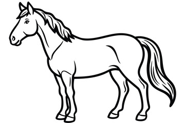 Obraz premium Horse, Equine Line Art Illustration