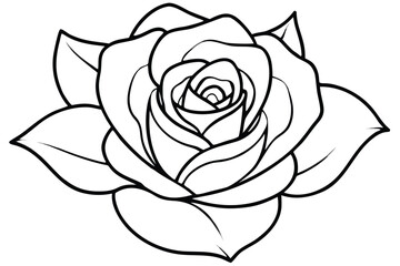 Rose, Line art flower drawing