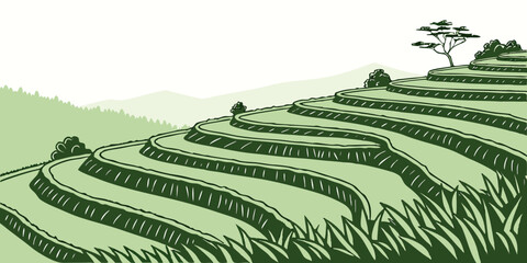 Aerial view of terraced farmland with trees in the distance on a sunny day Vector © RABBY