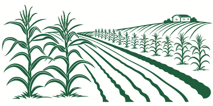 A vast field of corn stretches out under a clear blue sky with mountains in the distance Vector