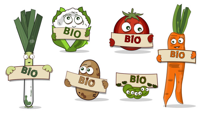 Les bons l&eacute;gumes bio