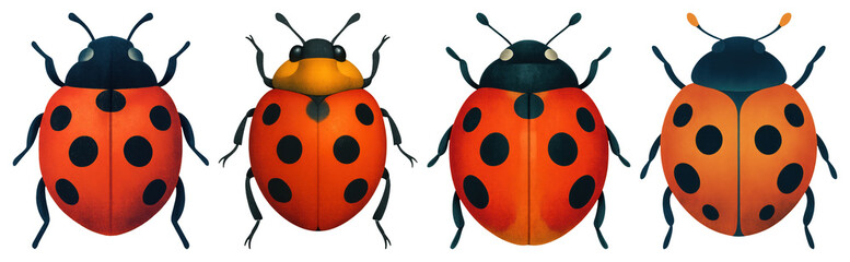 Obraz premium PNG Colorful ladybug illustration collection on transparent background