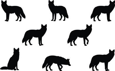 Obraz premium Collection of black fox silhouettes in various poses including standing sitting walking and hunting isolated on white background for wildlife nature and animal design projects