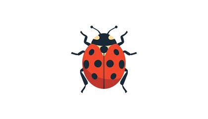 Fototapeta premium Ladybug vector illustration isolated on white background
