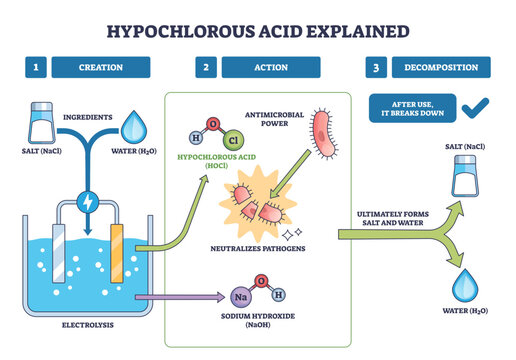 Hypochlorous acid explained, electrolysis makes HOCl from salt and water, neutralizes germs, then breaks down to salt and water, main objects, electrolysis cell, HOCl, bacteria.