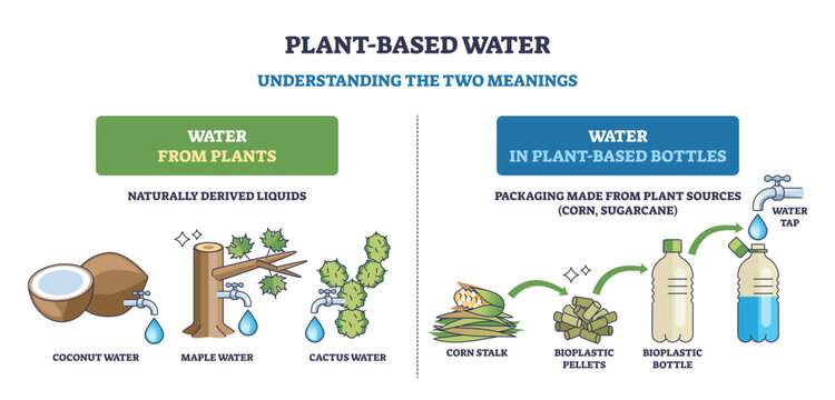 Plant-based water concept showing liquids from plants and water in plant-derived bottles, coconut, cactus, and bioplastic bottle illustrate sources and packaging, transparent background.