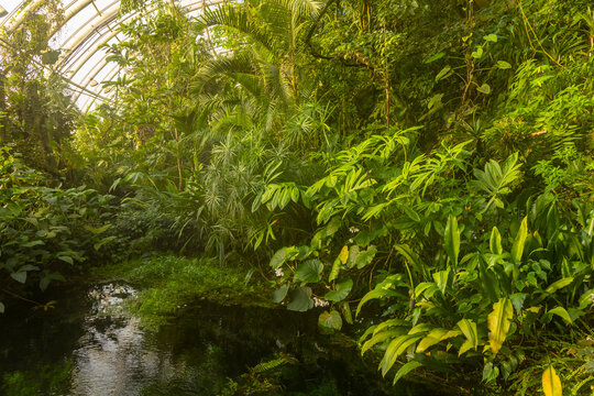 Lush tropical vegetation growing inside Fata Morgana greenhouse