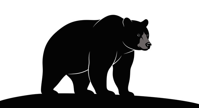 Black bear standing on a hill.