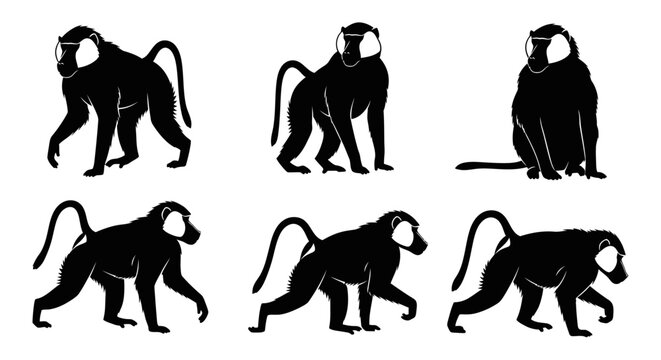 Baboon Silhouette Collection: Walking, Sitting, and Moving Poses