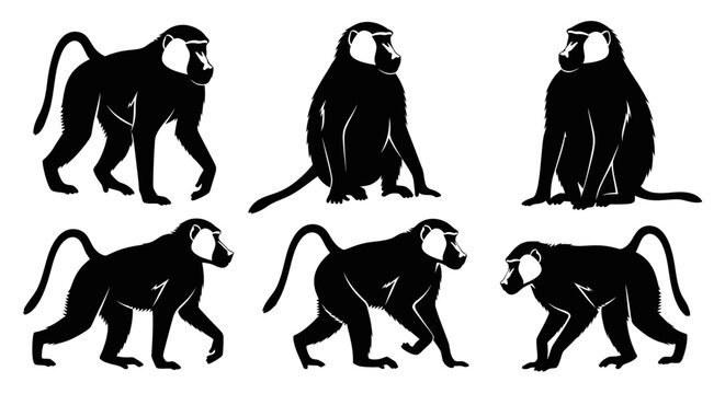 Black and White Silhouette of Baboons in Various Poses