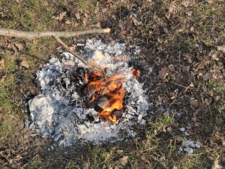 campfire in the forest, bonfire, ashes, fire, outdoor bonfire 