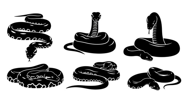 Black Silhouette Snake Collection: Cobra, Python, Viper Poses - Vector Art