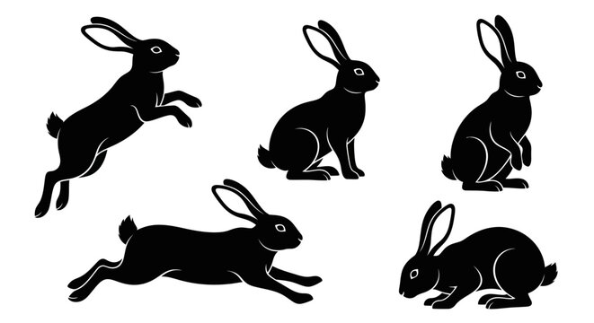 Black Rabbit Silhouettes Collection: Jumping, Running, Sitting Poses