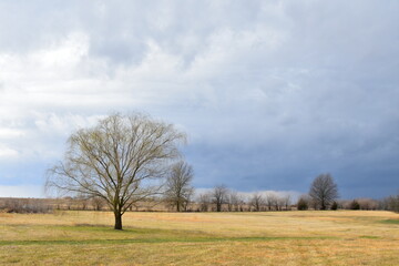 Fototapeta premium Clouds Over a Field