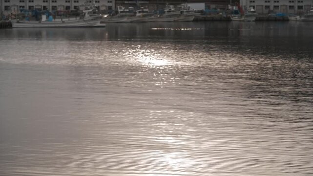 漁港の水面に鈍く光る太陽