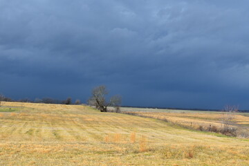 Storm Clouds Over a Field
