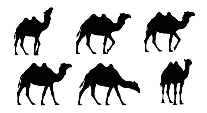 Camel Silhouettes Collection: Desert Journey Icons