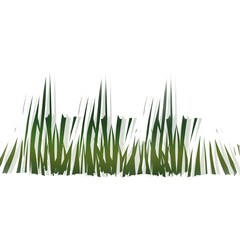 Fototapeta premium Plants and Flowers illustration in White background 