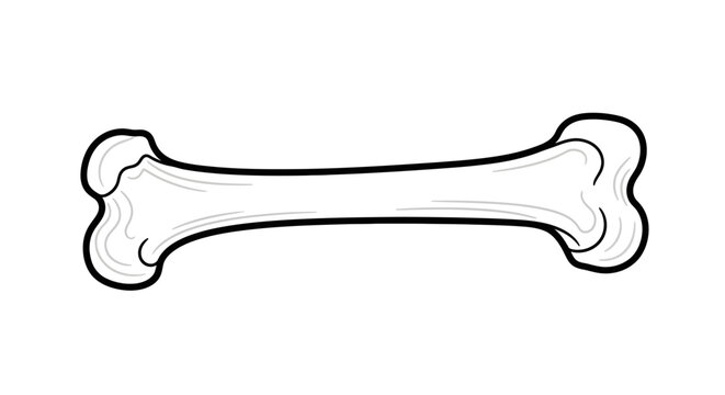 Simple Illustration of a Dog Bone.