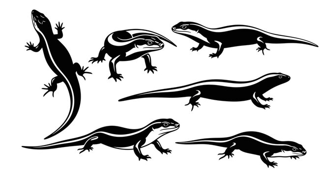 Collection of Black and White Skink Lizard Silhouettes on White Background