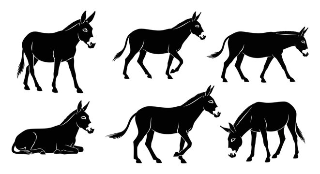 Collection of Black Donkey Silhouettes in Various Poses