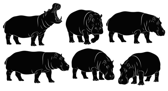 Collection of Hippo Silhouettes: Diverse Poses of African River Horses
