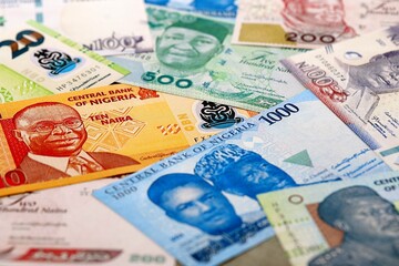 Obraz premium Nigeria naira money bills pile on table. Nigeria banknotes of NGN currency close up.