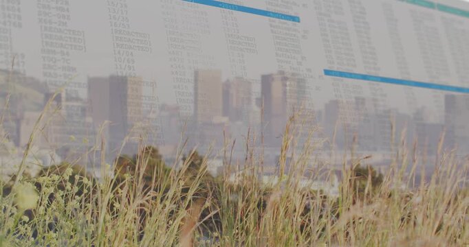 Vertical video: Frame shifting, overlay fading over skyline, grasses swaying blue bars showing data