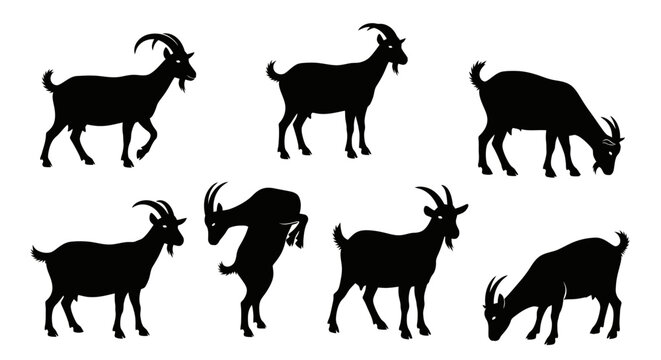 Goat Silhouettes Collection: Diverse Poses of Farm Animals in Black and White