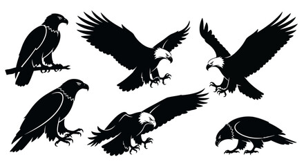 Obraz premium Eagle Silhouettes Collection: Majestic Birds in Various Poses