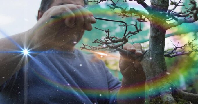 Bonsai gardener in garden reaching, wrapping wire and securing branch for styling, sparkles rising