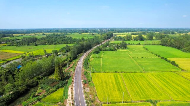 Straight Road Through Rural Farmland and Green Fields Aerial View