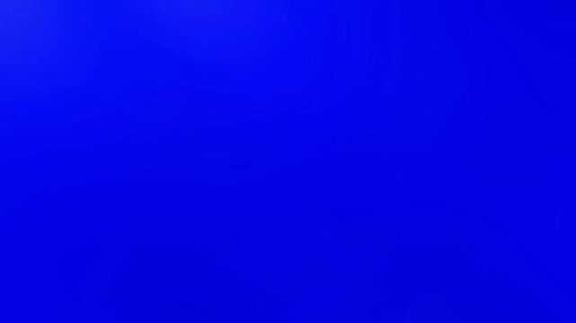 Red Rose Flower Transitions Blue Screen | Transition 4