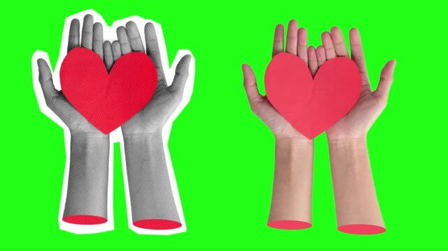 Hands holding a red heart paper cutout stop motion animation on green screen background.