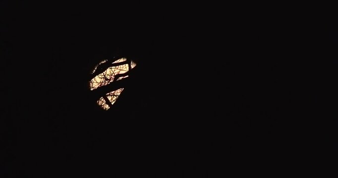 Vollmond wandert hinter einem Baum &uuml;ber den Nachthimmel